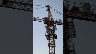 Travaux de Chantier beach automobile youtubeshorts [upl. by Genisia]