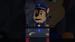 Pieski z Psiego Patrolu ratują dzieci i kotki  Psi Patrol Polski PAWPatrol Shorts [upl. by Einahets203]