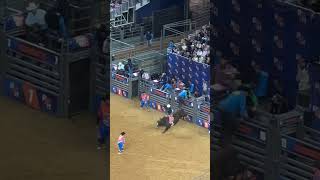 Houston livestock show and rodeo 2024 [upl. by Tish]