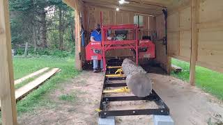 Hard Maple vs Hudson 330 pro chainsaw forest portablesawmill [upl. by Troxell545]