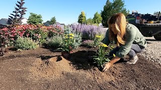 Planting 5 Varieties of Echinacea  They LOVE the Heat 🔥🌿🌻  Garden Answer [upl. by Waverley]