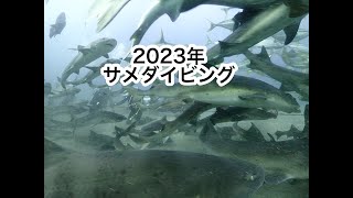 2023年NANAツアーサメダイビングにチャレンジ！！ [upl. by Lirbij]