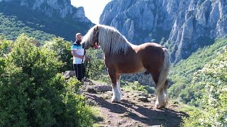 Calatorie prin Romania cu Andrei si Marius de la Turda Cluj  2022 Part II Nou [upl. by Capwell]