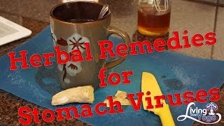 Herbal Redemies for Stomach Virus [upl. by Eiryt834]