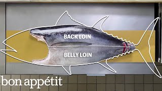 How To Butcher a Whole Tuna Every Cut of Fish Explained  Handcrafted  Bon Appétit [upl. by Thea64]