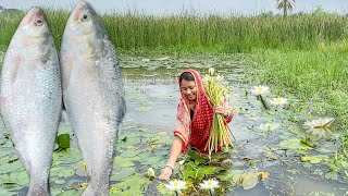 মাঠ থেকে শাপলা তুলে ইলিশ মাছের মাথা দিয়ে রান্না করলাম সাথে বেগুন ইলিশ তেলঝাল  hilsha fish recipe [upl. by Anthony]