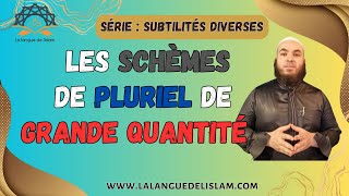 Subtilité n°8  Les Schèmes De Pluriel De Grande Quantité أَوْزَانُ جَمْعِ ٱلْكَثْرَةِ [upl. by Nodgnal]