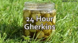 24 Hour Homemade Pickles Recipe  Easy Sweet Dill Pickles [upl. by Bevan]