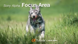 Choosing the Best Focus Area on your Sony Alpha Camera [upl. by Cynthie]