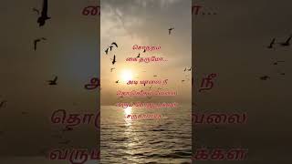 💖 sirage illatha poonkuruvi whatsappstatus  lyrics in tamil  love shortsfeed  Haran View ❤️❤️ [upl. by Nauqel]