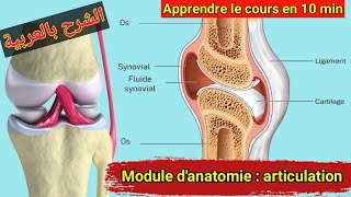 les articulations  anatomie et physiologie [upl. by Sension51]