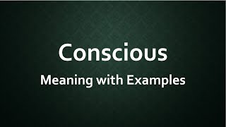 Conscious Meaning with Examples [upl. by Anreval]