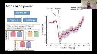 Talk Posner cueing specifically modulates attention but not expectation Behavioral and neural ev… [upl. by Zat]