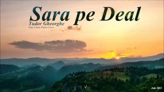 quotSara pe dealquot Tudor Gheorghe Instrumental Pian [upl. by Yroj]