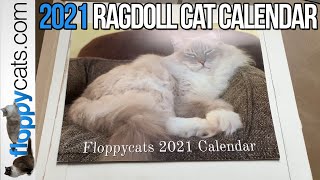 📆 2021 Ragdoll Cat Calendar ⭐ Floppycats 2021 Calendar 📆 [upl. by Atikahs]