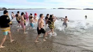 Dozens dash into chilly water for L Street Brownies polar plunge [upl. by Nymsaj]