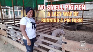 Reasons why you should choose a No Smellodourlessdeep litterbackyard pig pen [upl. by Shelli]