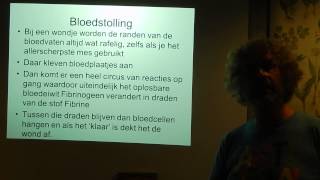 Biologie HV OB Bloedstolling [upl. by Oniotna]