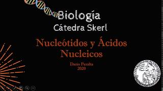 05 Nucleotidos y Ãcidos nucleicos [upl. by Hospers607]