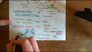 Parkinsons Disease and Antiparkinson Drugs Part 6 [upl. by Jovita]