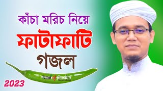 কাঁচা মরিচ নিয়ে ফাটাফাটি গজল Kacha Morich  Kalarab Ghazal  Kolorob Gojol  Ghazal  Islamic Song [upl. by Ennelram]