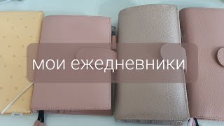 как я использую свои ежедневники kinbor my planner [upl. by Princess698]