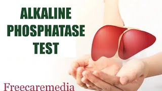 Alp test malayalam Alkaline phosphatase testliver livercancer liverfunction [upl. by Atiekan94]