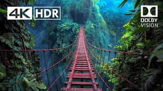 Unbelievable Places That Actually Exist 4K HDR 4K Video 4k 4khdr [upl. by Nylaehs]