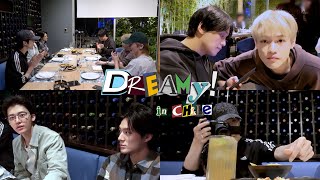 남은 투어도 진지하게 우리 진짜 잘해보자 💚  Dreamy in Chile [upl. by Enimassej]