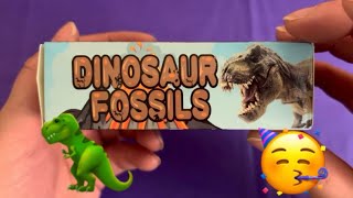 Surprise Toy Unboxing  Dinosaur Fossil Head Excavation asmr 🎉🦖😱🦕 [upl. by Norah]