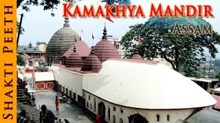 Shakti Peeth  Kamakhya Mandir  Assam  Indian Temple Tours [upl. by Lucilla649]