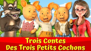 Trois Petits Cochons Et Le Grand Méchant Loup 🔴🐷🐺I Trois Contes [upl. by Tala]