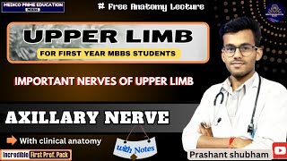 Axillary nerve  Nerves of upper limb  Course Branches amp Supply  Clinical anatomy  nerve damage [upl. by Anwat]