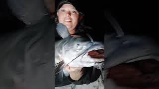 33quot MN river channel catfish ate a live bullhead [upl. by Tail307]