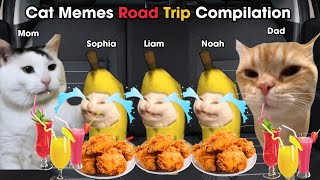 Cat Memes Road Trip Compilation Full [upl. by Kerwinn]