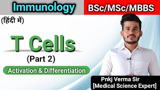 T Cell Activation and Differentiation  Immunology [upl. by Hacceber]