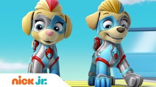 The Mighty Twins In Action 🐶🐶 PAW Patrol  Nick Jr [upl. by An895]