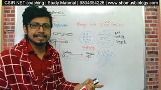 Gel electrophoresis procedure explained  agarose gel electrophoresis of DNA [upl. by Dyna267]