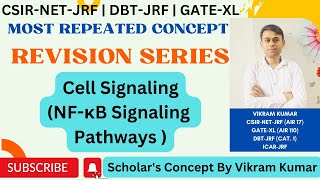 NFκB Signaling Pathway  StressBacterialFungalInflammatory response  Common Repeated Concepts [upl. by Hermon]