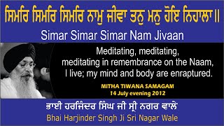 Simar Simar Simar Nam Jivaan By Bhai Harjinder Singh Ji Sri Nagar Wale [upl. by Anaeda]