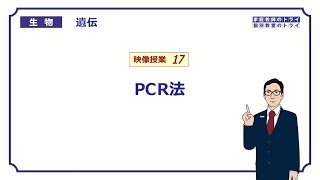 【高校生物】 遺伝17 PCR法（２０分） [upl. by Giorgia]