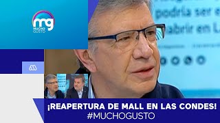 Lavín explica medidas para reapertura de mall en Las Condes  Mucho Gusto 2020 [upl. by Gokey]