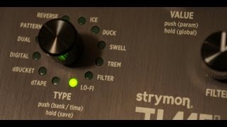 Strymon  Timeline lofi  bitcrusher and sample reduced delay [upl. by Lowe]