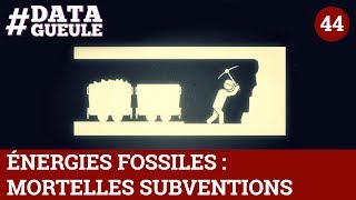 Énergies fossiles  mortelles subventions  DATAGUEULE 44 [upl. by Idieh852]