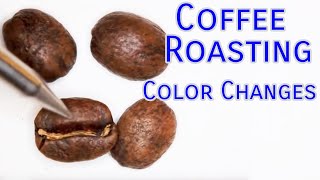 Coffee Roasting Basics  Color Changes [upl. by Sedgewinn421]