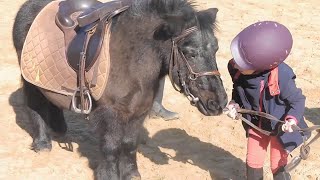 Cosneversation quot12 Camargue Equitation Loisirs en Nièvre [upl. by Gottwald]