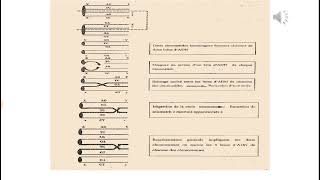 Génétique moléculaire  Cours Genetique 2 [upl. by Tewell]