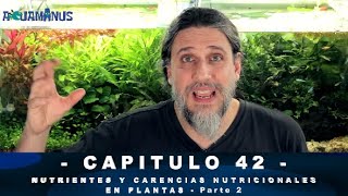 ACUARIO DESDE CERO Nutrientes y Carencias nutricionales en plantas Parte 2 Cap 42  ACUAMANUS [upl. by Garnette]