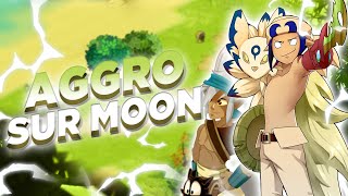 Un Perco COLLÉSERRÉ sur la plage de MOON  DOFUS RETRO PVP [upl. by Hamilah]