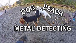 Metal Detecting a Dog Beach and Spanish Banks [upl. by Hamirak175]